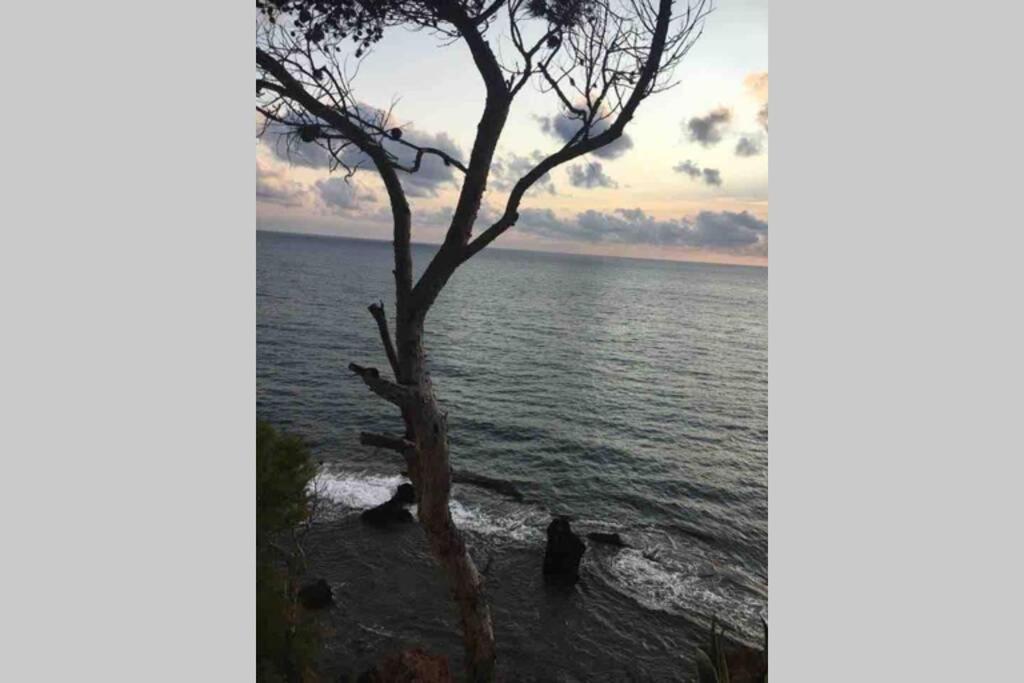 Estudio En Denia Con Piscina Y Wifi Privada, A 100 M Del Mar Εξωτερικό φωτογραφία